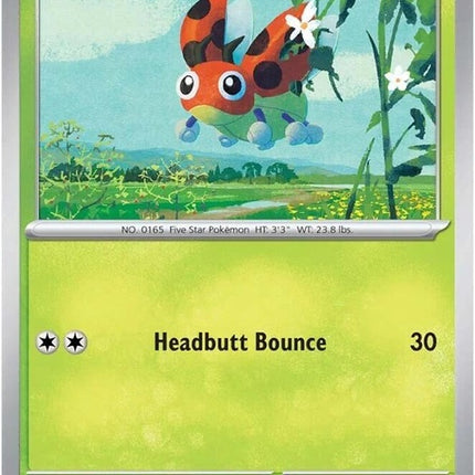 2-ledyba