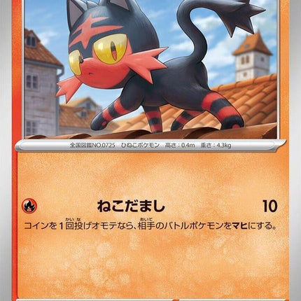 20-litten