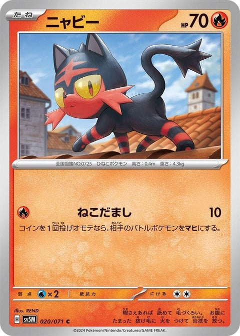 20-litten