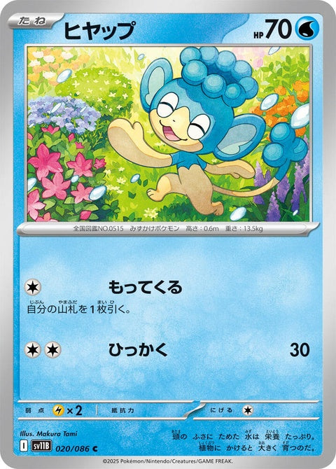 20-panpour