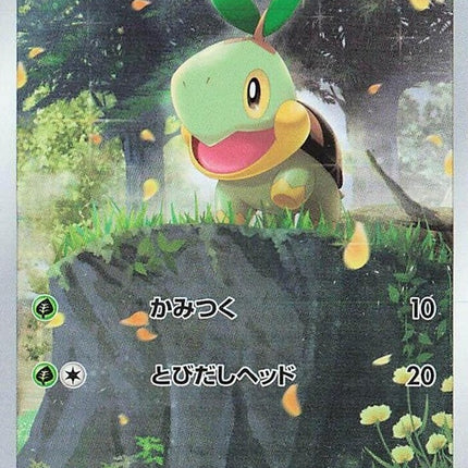 206-turtwig