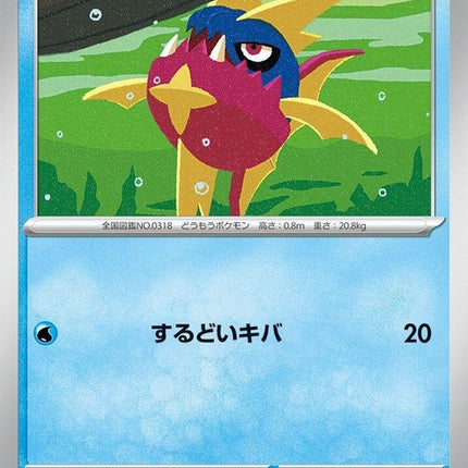 21-carvanha