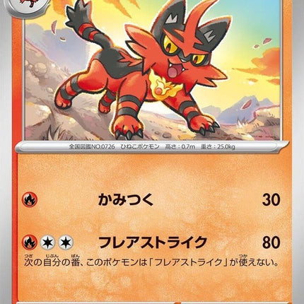 21-torracat