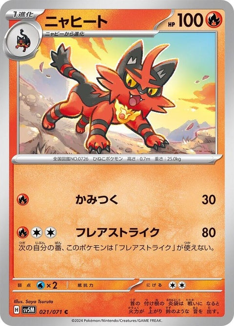 21-torracat