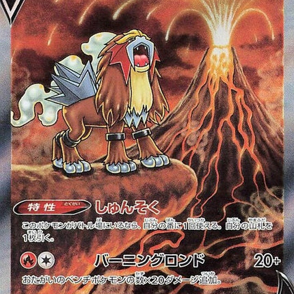 213-enteiv
