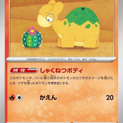22-numel