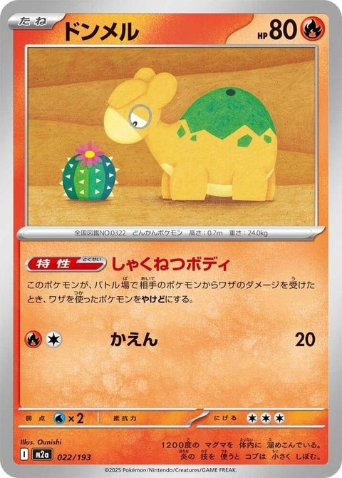 22-numel
