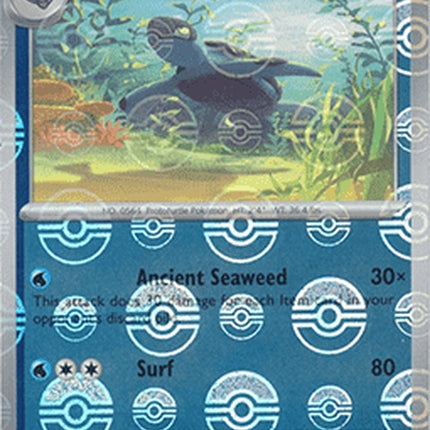 22-tirtouga-pokeballpattern