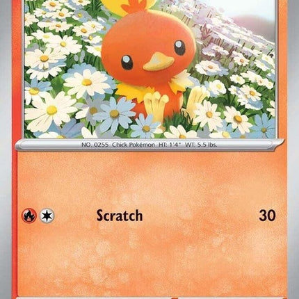22-torchic