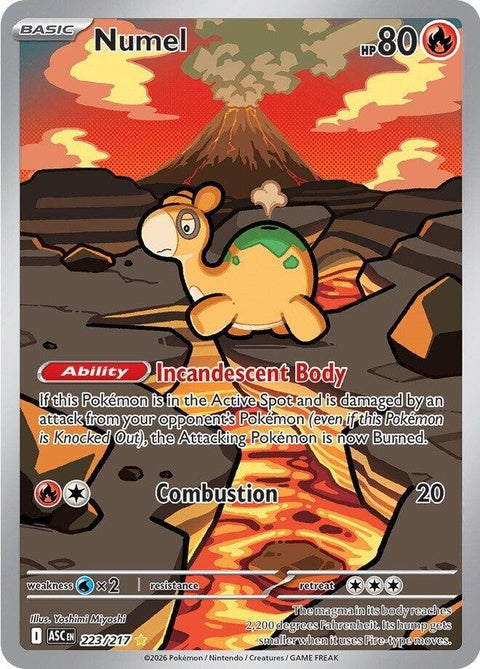 223-numel