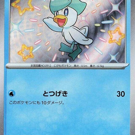224-quaxly