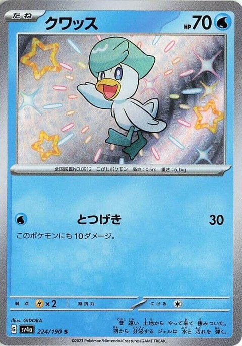 224-quaxly
