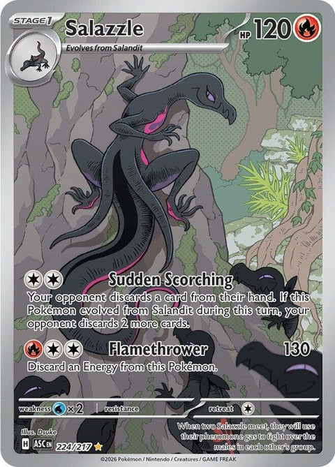 224-salazzle