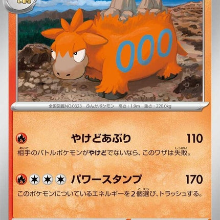23-camerupt