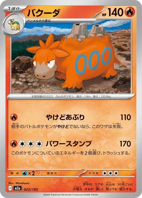 23-camerupt