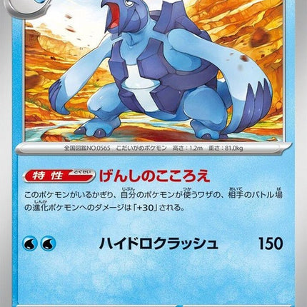 23-carracosta