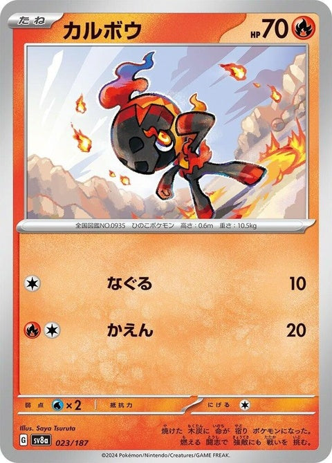 23-charcadet