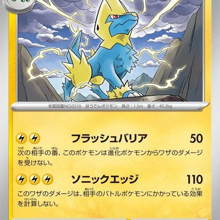23-manectric