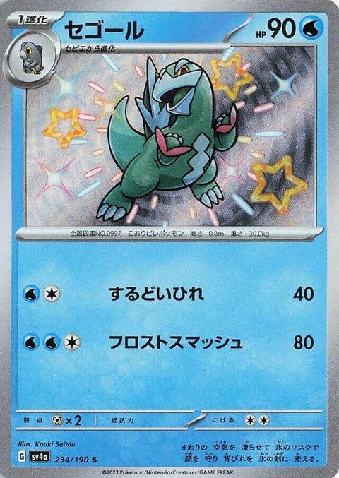 234-arctibax