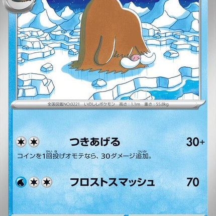 24-piloswine