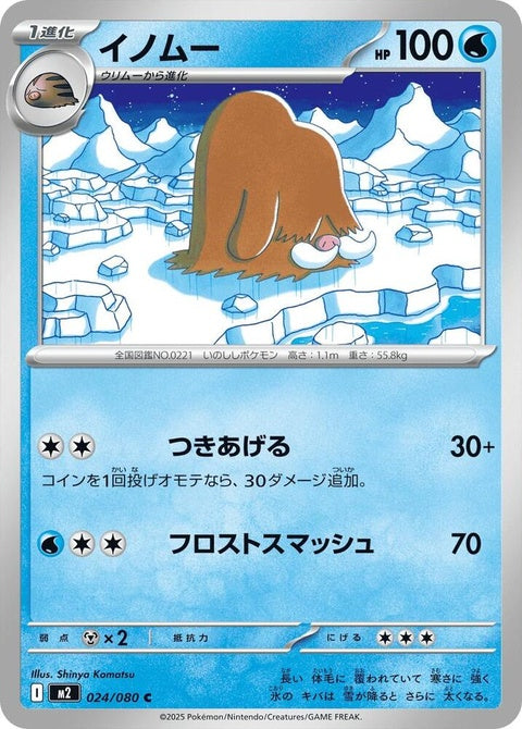 24-piloswine