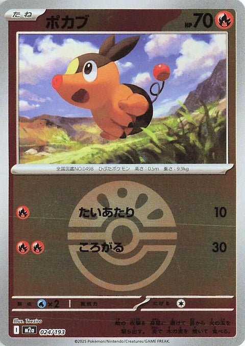 24-tepig-friendballpattern
