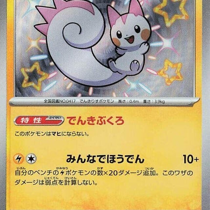 243-pachirisu