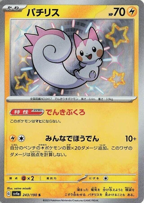 243-pachirisu
