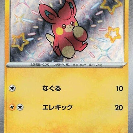 247-pawmi