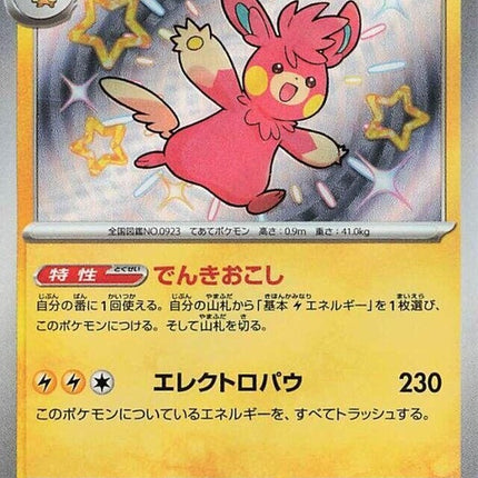 249-pawmot