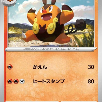 25-pignite