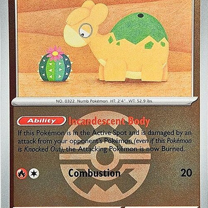 27-numel-quickball