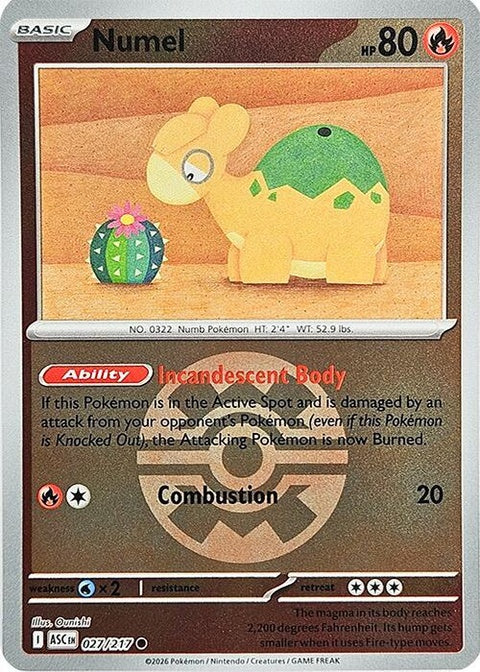 27-numel-quickball