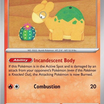 27-numel