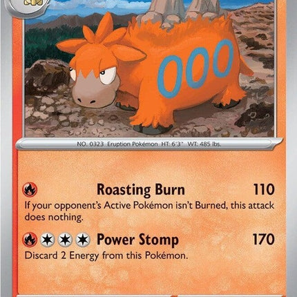 28-camerupt