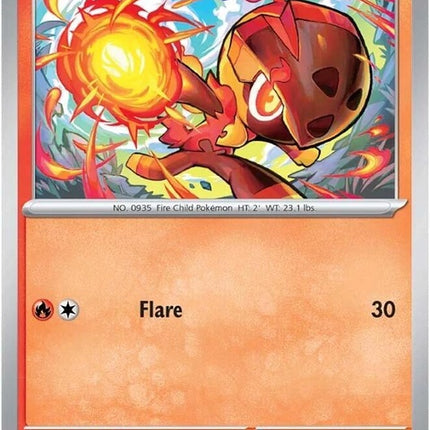29-charcadet
