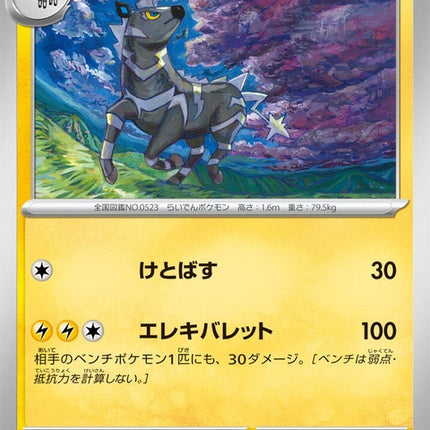 29-zebstrika