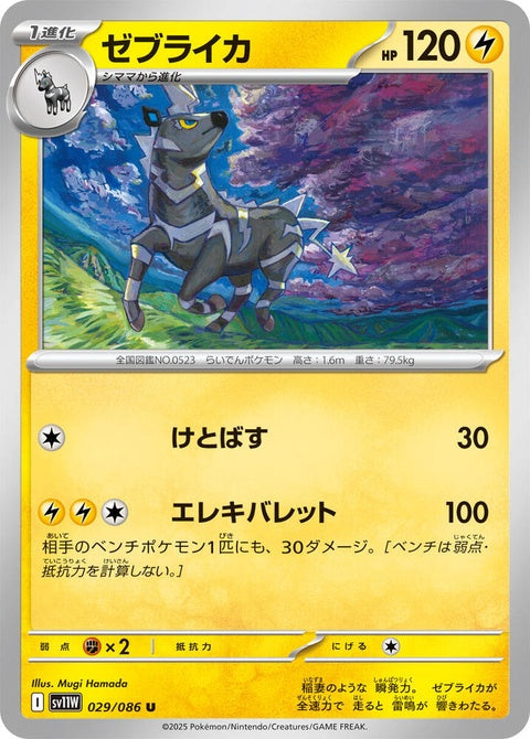 29-zebstrika