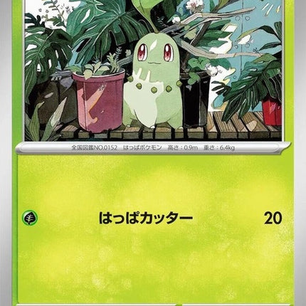 3-chikorita