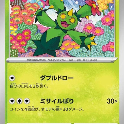 3-maractus