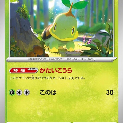 3-turtwig