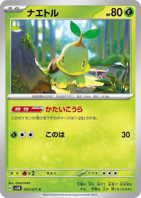 3-turtwig