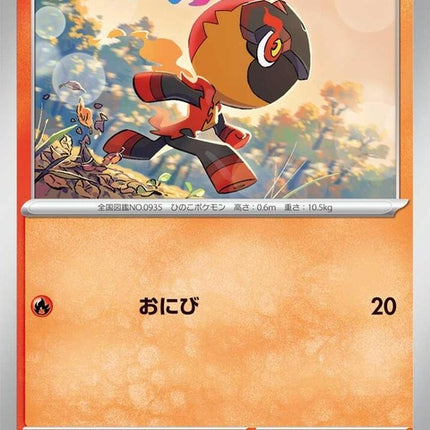 30-charcadet