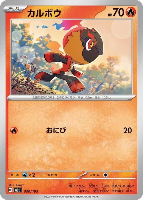 30-charcadet