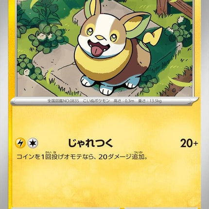 30-yamper