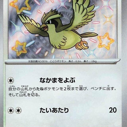 304-pidgey
