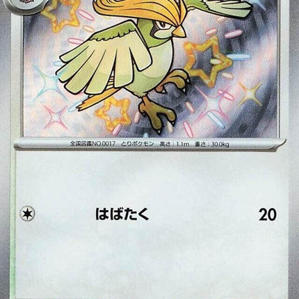 305-pidgeotto