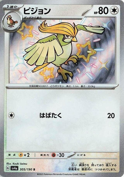 305-pidgeotto