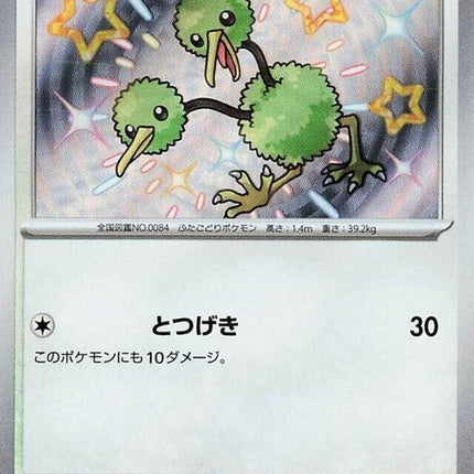 307-doduo