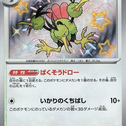 308-dodrio